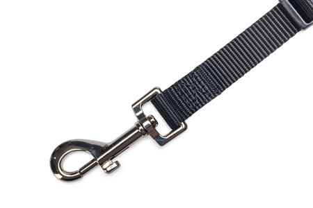 BZ NYL AUTOGORDEL HOND S ZWT 55X2 - afbeelding 1