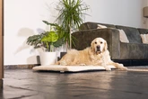 BZ MEMORYFOAM BENCHK ITO BGE 109X69 - afbeelding 2