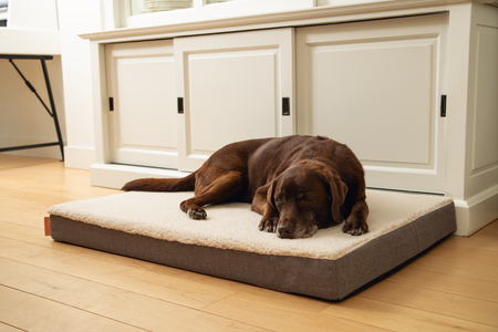 BZ MEMORY FOAM LIGK ZIRA BGE 100X70 - afbeelding 2