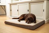 BZ MEMORY FOAM LIGK ZIRA BGE 100X70 - afbeelding 2
