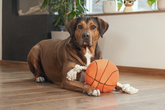 BZ PLU BASKETBAL MET TOUW ORA 33 - afbeelding 2