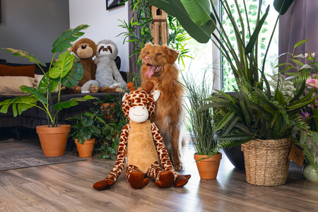 BZ PLU HSP JUNGLE XL GIRAF BRN 85 - afbeelding 4