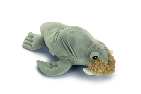 BZ PLU HSP WALRUS AIDEN GRS 34