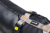 BZ PREM Y-TUIG PARINCA LGRS 37-40X15 - afbeelding 6