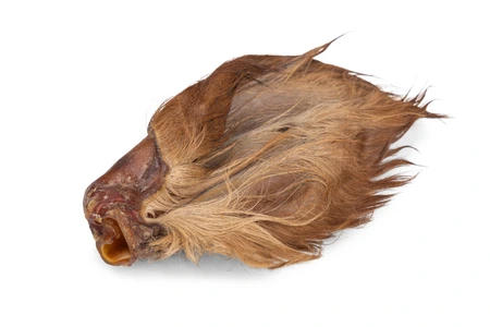 BZ RUNDEROREN MET HAAR 3ST - afbeelding 3