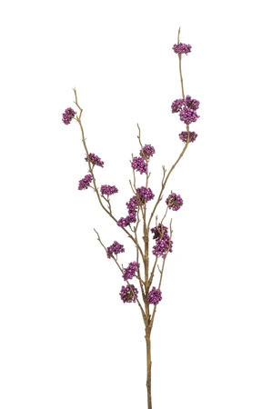 Callicarpa spray lt purple 97cm