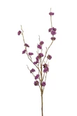 Callicarpa spray lt purple 97cm