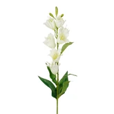 Campanula creme - l71cm