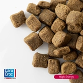 Carocroc High Energy 3 Kg - afbeelding 3