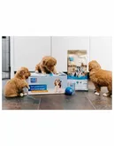 CaroCroc Hondenbrokken Puppypakket - 1,5 Kg - afbeelding 4