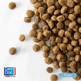 Carocroc Puppy 3 Kg - afbeelding 3