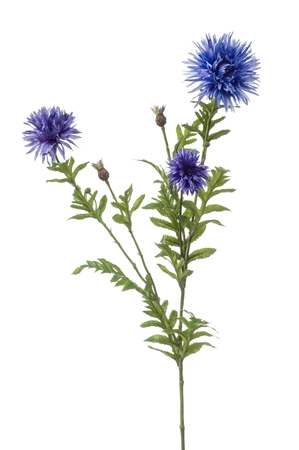 Centaurea spray lt blue 100cm