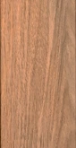 Challenger T² premium 300x300 Champagne - afbeelding 11