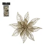 Clip poinsettia champagne 2 stuks - h2xd16cm
