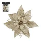 Clip poinsettia champagne - h3xd20cm