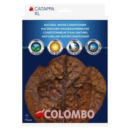Colombo Catappa 10 Stuks - afbeelding 1