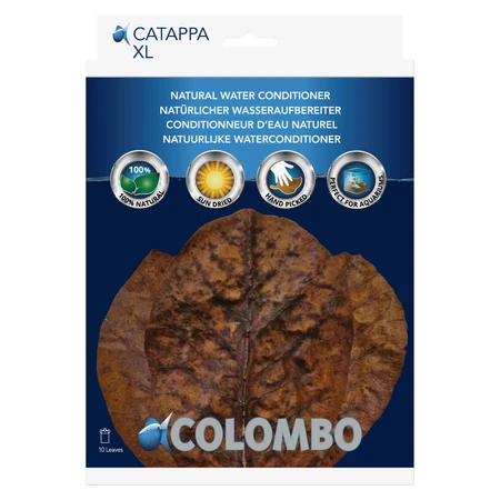 Colombo Catappa 10 Stuks - afbeelding 2