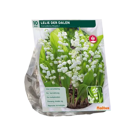 Convallaria Majalis per 10