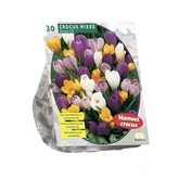 Crocus Grootbloemig, Mix per 30