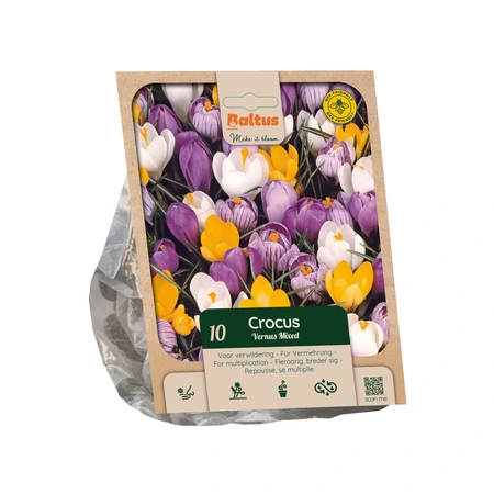 Crocus vernus Mixed per 10