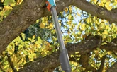 cs-Telescoopsteel 210-390 cm - afbeelding 3