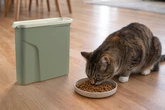 CURVER VOEDSELCONT HOND/KAT MISTY GRN 2L - afbeelding 4