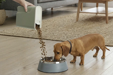CURVER VOEDSELCONT HOND/KAT MISTY GRN 6L - afbeelding 4