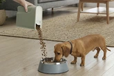 CURVER VOEDSELCONT HOND/KAT MISTY GRN 6L - afbeelding 4