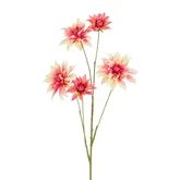 Dahlia roze Leafless - l109cm