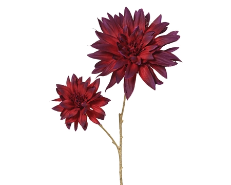 Dahlia polyester L22b16h75cm osbld
