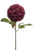 Dahlia pompom spray xl burgundy 77cm