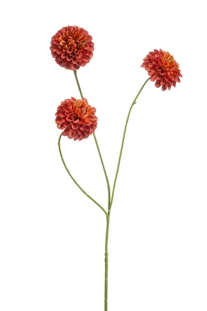 Dahlia pompon mini spray x3 orange 68cm