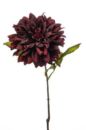 Dahlia spray burgundy 55cm