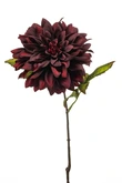 Dahlia spray burgundy 55cm
