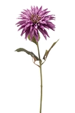 Dahlia spray purple 70cm
