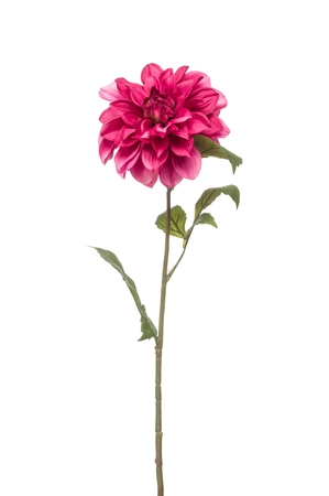 Dahlia spray purple 72cm