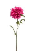 Dahlia spray purple 72cm