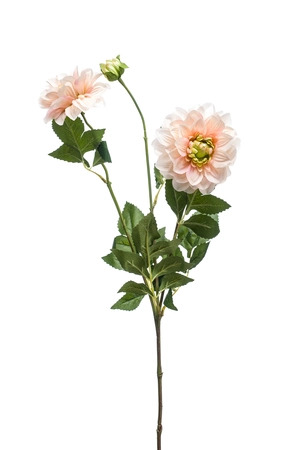 Dahlia spray peach/pink 72cm