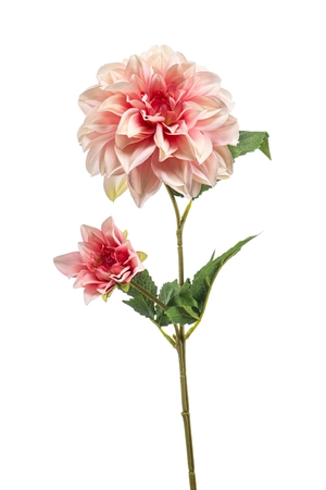 Dahlia w bud spray lt pink 60cm