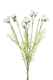 Daisy bundle white 42cm