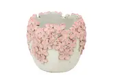 Dante Light Pink Pot Bloom 15X15X13Cm