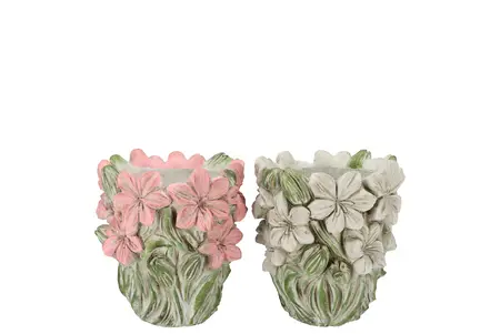 Dante Pink White Pot Pretty Ass 17X17X16Cm