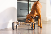 DBL HOUT DINERSET H KARINTO56X28X18 - afbeelding 4