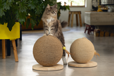 DBL HOUTEN KRABBOL BALTY 30X30X27 - afbeelding 6