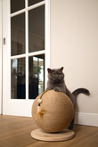 DBL HOUTEN KRABBOL BALTY 30X30X27 - afbeelding 5