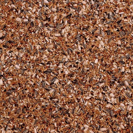 Deli Nature Premium grote parkieten 1kg - afbeelding 2
