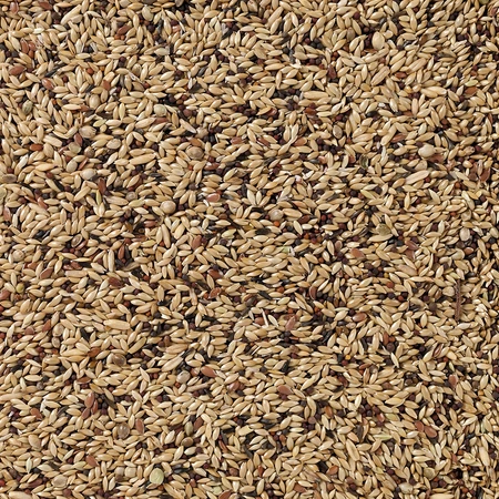 Deli Nature Premium kanaries 1kg - afbeelding 2