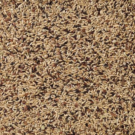 Deli Nature Premium kanaries 4kg - afbeelding 2