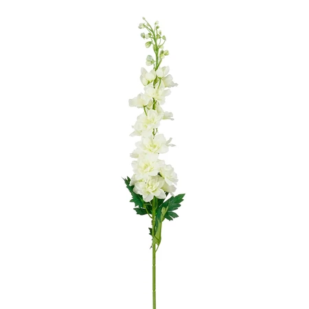 Delphinium creme - l78cm