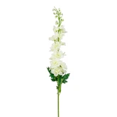 Delphinium creme - l78cm